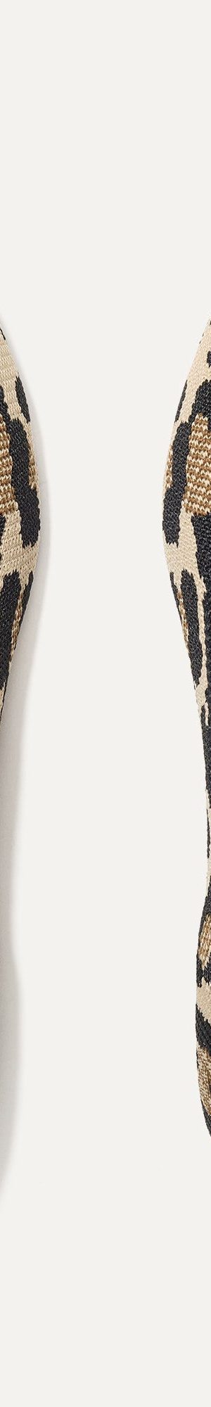 The Point II - Desert Cat